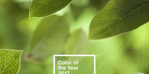 Greenery, the color of the year according to Pantone