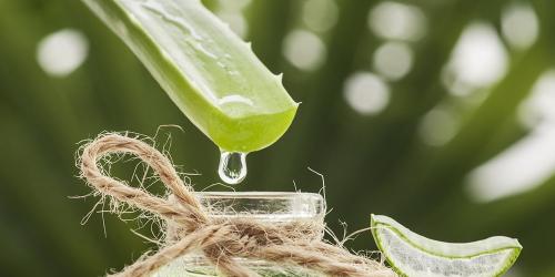 What are the health benefits of aloe vera?