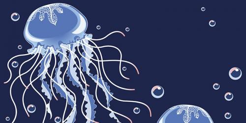 How to cure a jellyfish sting?
