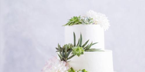 Succulent plants invite themselves to pastry