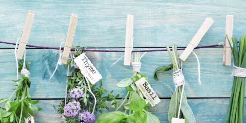 Herbal medicine: everything to heal with plants