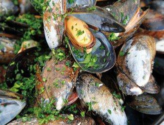 Mussels with mayonnaise of shallots