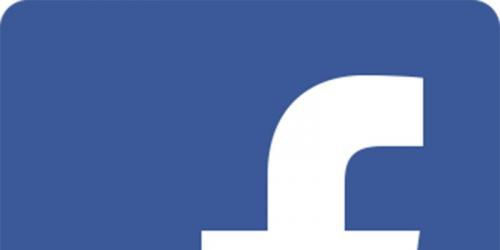 For the European elections, Facebook launches the button "I vote"