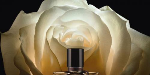 Tell me if the rose ... the new perfume Van Cleef Rose Velours