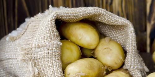 Too many potatoes promotes hypertension
