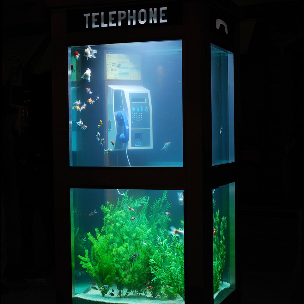 15 totally crazy aquariums spotted on Pinterest