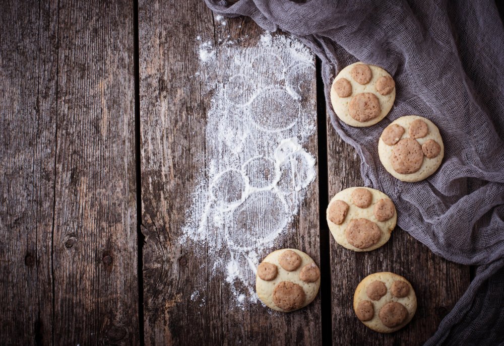 Dog, cat: and if we made their own sweets?