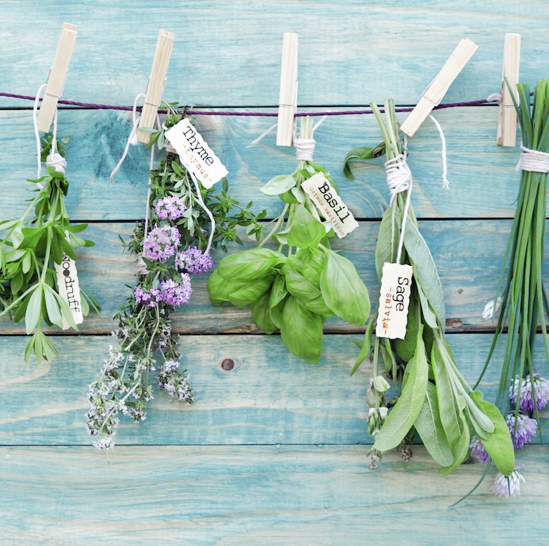 Herbal medicine: everything to heal with plants