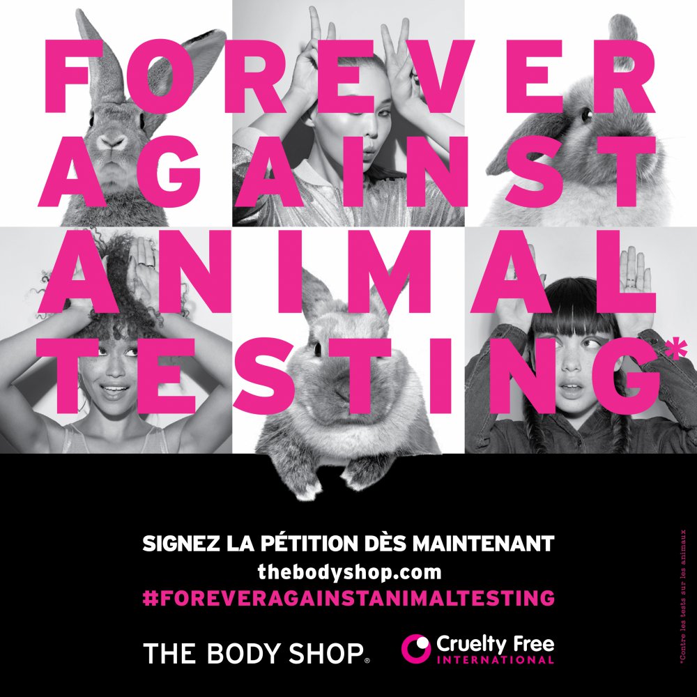 Petition to stop animal testing