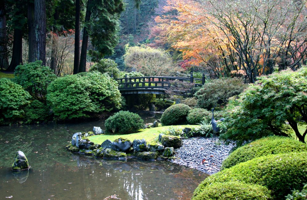 All the keys to create a perfect Japanese garden