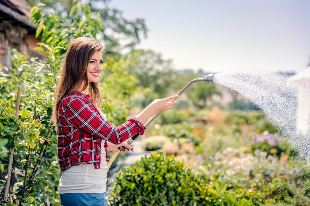 How to save water in the garden?