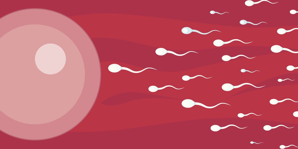 Contraception: the disturbing natural return