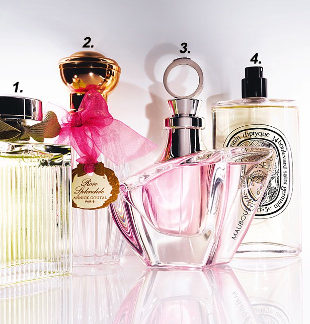 Summer fragrances: fragrances with rose