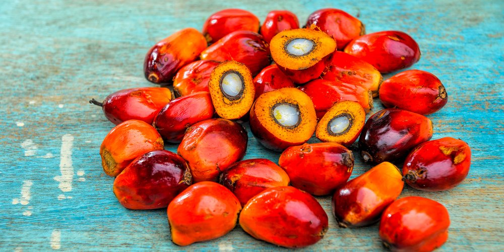 Is palm oil bad for your health?